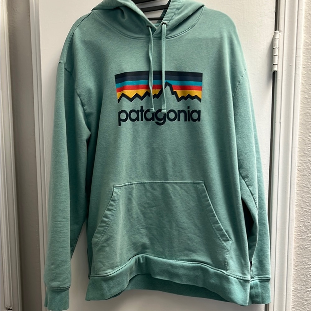 Patagonia Green Hoodie with Logo